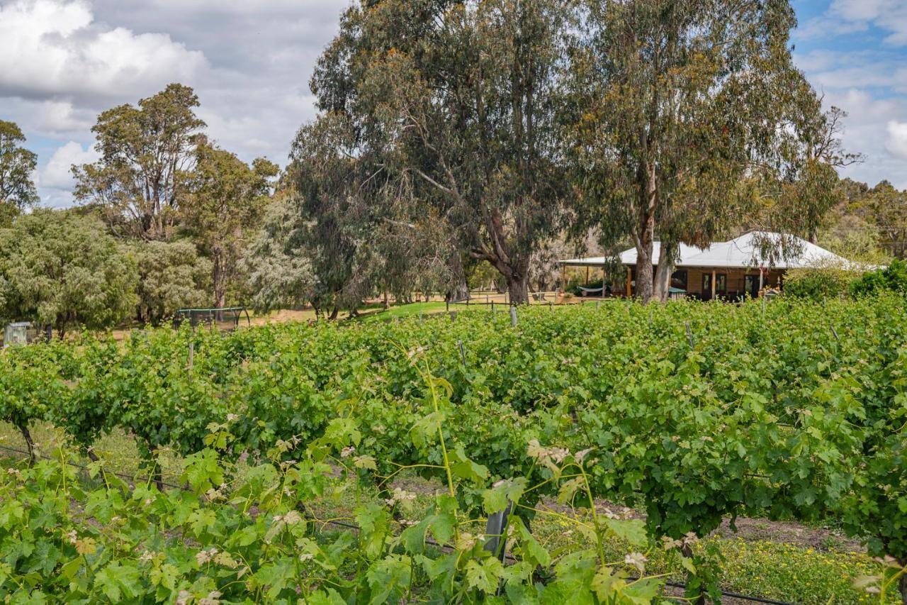 Island Brook Estate Vineyard And Chalets Yelverton Εξωτερικό φωτογραφία